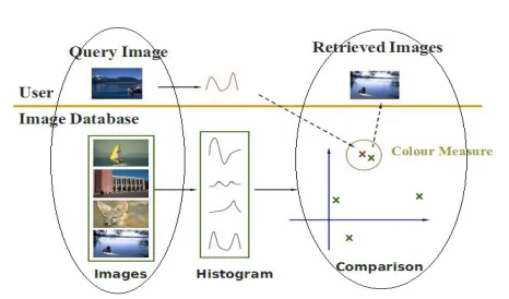Fig 3. Histogram representing different images. 