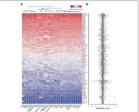 Fig. 2 Several RPs exhibit tissue-specific expression.quartile range ( a Heatmap depicting the standard score-normalized expression level of 90 RP genes across28 human tissues