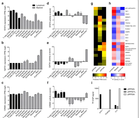 Fig. 5 Differentially expressed RPs display distinct regulatory fingerprints.different hematopoietic cell types