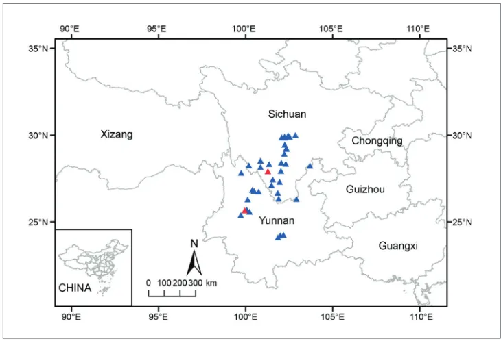 Figure 9. Distribution map of Begonia taliensis (syn. B. muliensis) Triangles show distribution sites, based on specimens and field surveys and red triangles indicate type locality of B