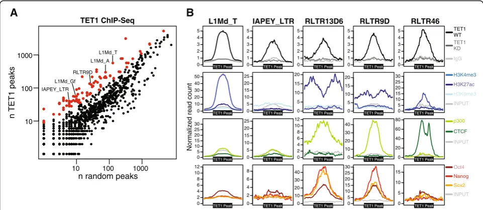 Fig. 1 TET1 binds multiple TE classes. a Peaks from TET1 ChIP-seq data were overlayed with the RepeatMasker annotation to determine TE classesthat are enriched in TET1 over a random control (highlighted in red)