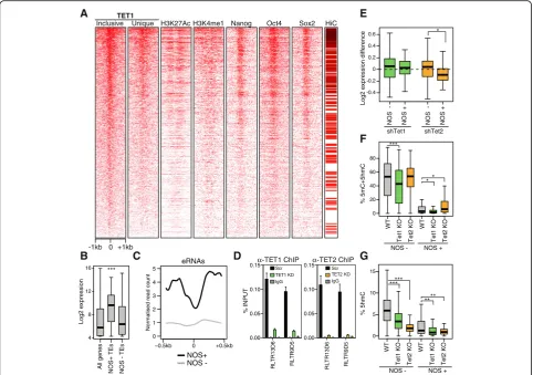 Fig. 2 TETs target and control the activity of TE-derived ESC enhancers.eRNAs emanating from TEs bound by NOS