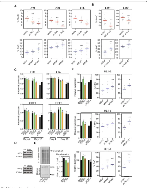 Fig. 4 (See legend on next page.)