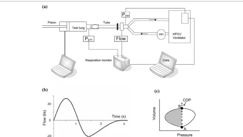 Figure 1Schematic drawing of the experimental set-uplung by an endotracheal tube. Schematic drawing of the experimental set-up