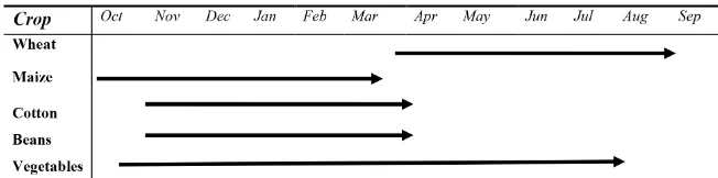 Figure 2. Typical cropping pattern and calendar at Mushandike Irrigation Scheme.