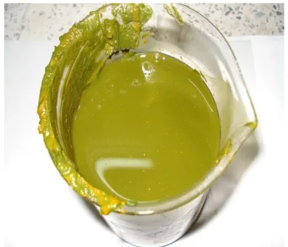 Fig. 1 Mixed Electroplating Waste Sludge before Treatment and Precipitation  (Collected from Source) 