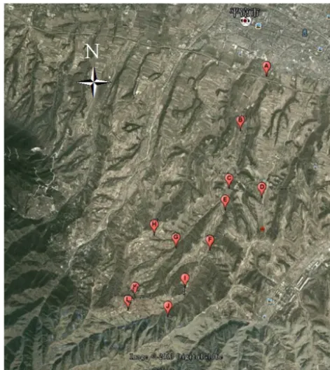 Figure 4. The spatial distribution of soil samples.