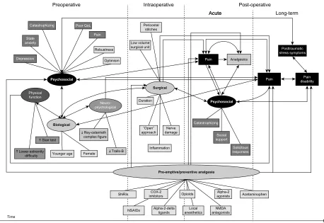 Figure 1 schematic illustration of the processes involved in the development of chronic postsurgical pain and pain disability showing relationships among preoperative, intraoperative, and postoperative risk/protective factors