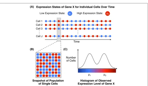 Fig. 1 Schematic of the presence of two cell states within a cell population that can lead to bimodal expression distributions