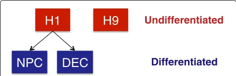 Fig. 4 Relationship of cell types used in hESC case study. H1 and H9are undifferentiated hESC lines