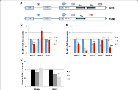 Fig. 7 Pol II occupancy decreases downstream of endogenous**of the threethewas performed and the co-precipitated DNA was quantified by qPCR