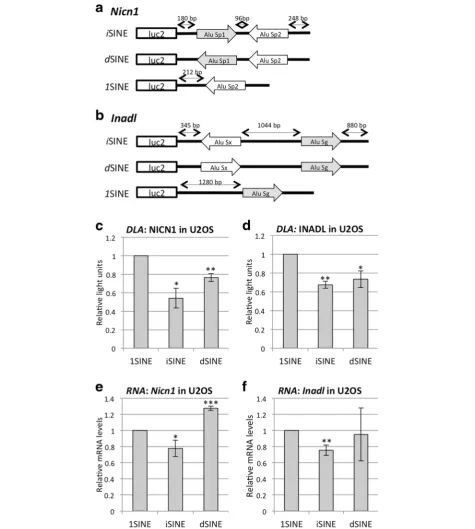 Fig. 3 iSINEs can repress reporter gene expression and RNA levels experimentally. The iSINE-containing 3′ UTRs of a the Nicn1 and b Inadl geneswere inserted downstream of the firefly luciferase ORF