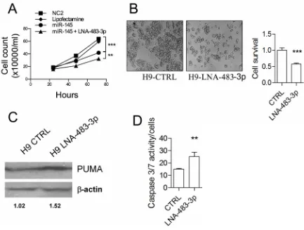 Figure 4: miR-145-5p/miR-483-3p correlations in non-neoplastic liver and hepatocellular carcinoma