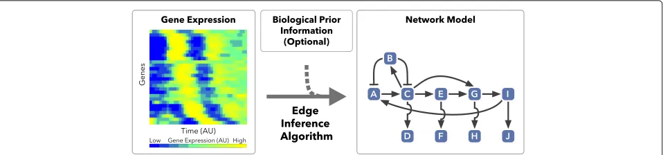Fig. 1 Discovering underlying transcriptional networks from time-series gene expression data