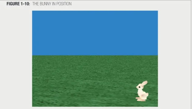 FIGURE 1-10: THE BUNNY IN POSITION