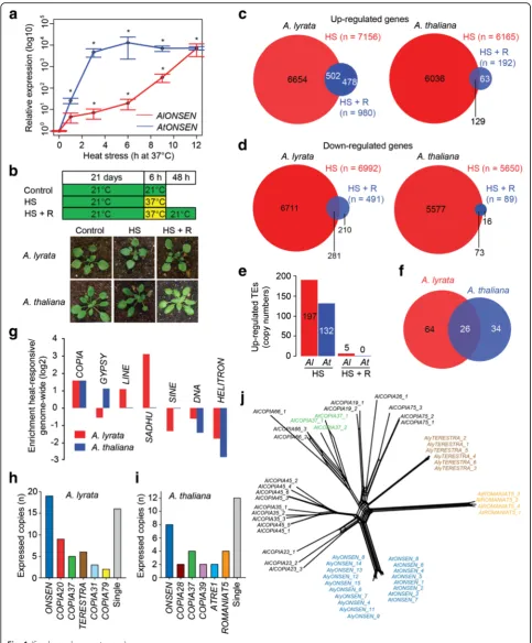 Fig. 1 (See legend on next page.)