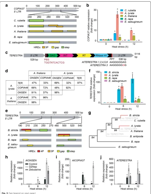 Fig. 3 (See legend on next page.)