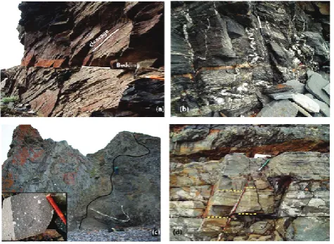 Fig. 9d) quartz veins trend N-S to NE and cut sandy bedsbut not inter-bedded shales. They are likely related to de-formation within the beds (stretching) during folding