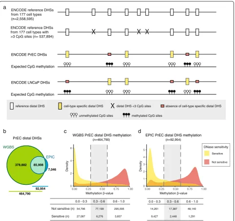 Fig. 5 Overview of approach and assessment of DNA methylation at distal regulatory elements defined using ENCODE DNAse hypersensitivitymethylation data at ENCODE reference distal DHS sites.data