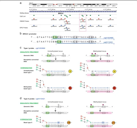 Fig. 1 (See legend on next page.)