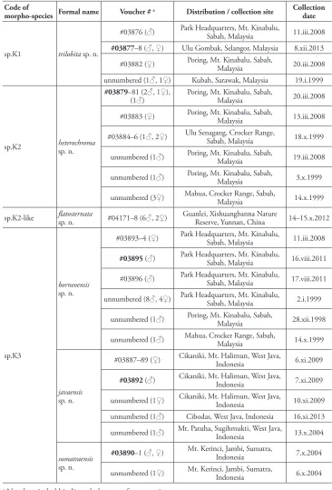 Table 1. Summary of new species and specimens of Dichaetophora employed in the present study.