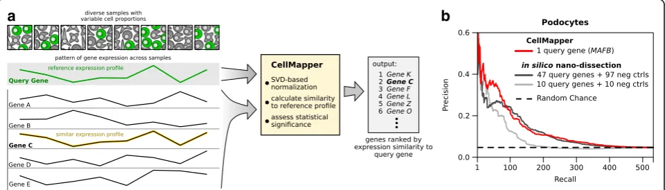 Fig. 1 Overview and validation of CellMapper. a Schematic of the approach. CellMapper takes as input a cell type-specific query gene (green) anda set of gene expression data and finds genes with a similar expression profile to the query gene (e.g