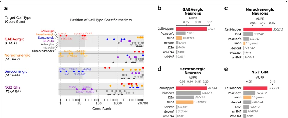 Fig. 2 Application of CellMapper to brain cell types that are difficult to address by other methods.methods to recover genes expressed in the four brain cell types