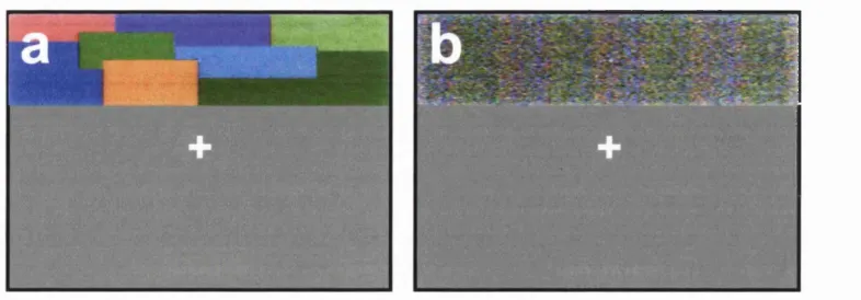 Figure 4. The stimuli used in the retinotopic mapping study o f the human colour centre