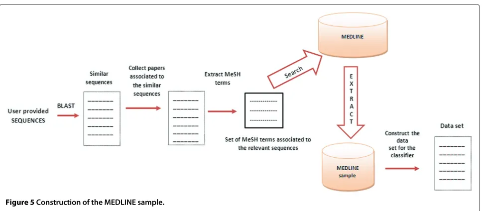 Figure 5 Construction of the MEDLINE sample.