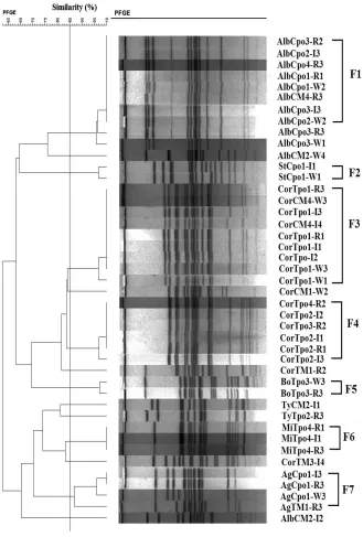 FIGURE 3. Dendrogram offollows: Ag, Agona; Alb, Albany; Bo,Bovis-morbiﬁcans; Cor, Corvallis; Mi,Mikawasima; Ty, Typhimurium; St, Stan-leyserovars in catﬁsh, tilapia, and watersamples constructed using PFGE results.Codes indicate Salmonella Salmonella serovars as.
