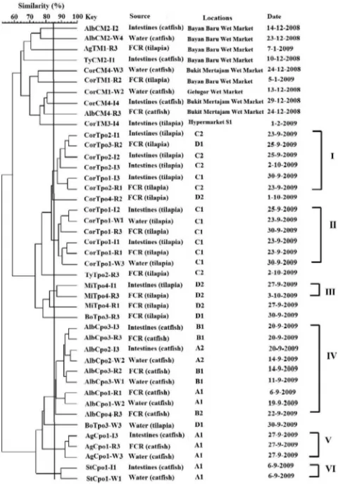 FIGURE 4. Dendrogram of Salmonella serovars in catﬁsh,tilapia, and water samples constructed using composite resultsfrom RAPD-PCR, REP-PCR, and PFGE