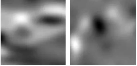 Fig 5, Fig 6: Images after applying Horn-Schunck algorithm 
