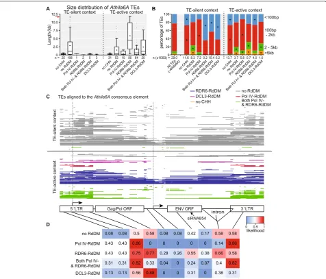 Fig. 4 TE size correlates with RdDM pathway. a Size distribution of Athila6A LTR retrotransposons categorized by their CHH methylation pathway.The red arrow is the size of the Athila6A autonomous consensus element