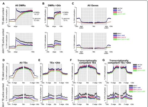 Fig. 1 Meta-plotsstop codons.ecompetent TEs longer than 2 kb.element data points is represented as the of CHH methylation levels in TE-silent and TE-active contexts