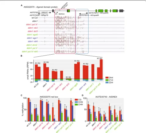 Fig. 3 Single-locus characterization of the DCL3-RdDM pathway.palindromic sequences.(in theboxadditionally responsible for the CHH methylation of the adjacent genic introns and exon ( a CHH methylation of the AtCopia68 family fragmented TE At5TE76210 (blue