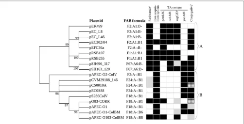 FIGURE 4 | Phylogenetic tree of RepFII repA1not been reported before. Checkered gray boxes gene from 18 IncFIIA plasmids