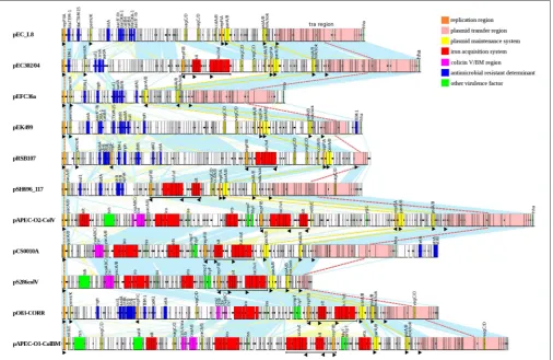 FIGURE 5 | Pairwise nucleotide comparative map of 11 multireplicon IncFIIA plasmids which are closely related to pEC302/04