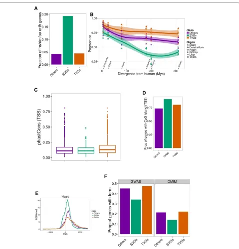 Fig. 4 a Proportion of genes in each category that have a one-to-one ortholog in human, fly, and worm, as defined by the modENCODE consortiumsubset of SVGs, heart-specific TVGs, and others