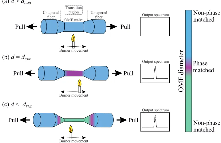 Fig. 7. Schematic of the tapering process in the experiment. Here, dand is the diameter of the OMF, dPMD is the phase matching diameter for FWM.