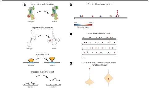 Fig. 1 The OncodriveFML approach to detect signals of positive selection.cmutations observed in the element (empirical a The functional impact (FI) of mutations may be computed in differentmanners for different types of genomic elements