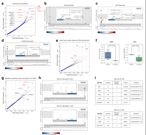 Fig. 3 Results of the application of OncodriveFML to identify driver promoters and 5abtherank-sum test)