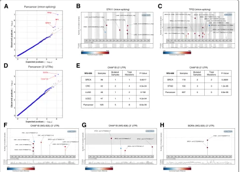 Fig. 4 Results of the application of OncodriveFML to identify driver splice intronic regions and 3′ UTRs