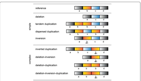 Fig. 1 Illustration of simple and complex rearrangements, as compared to an unaltered reference genome