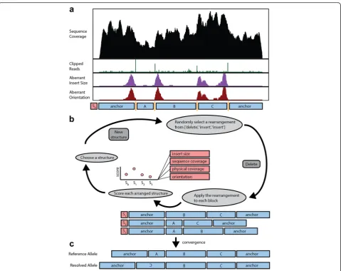 Fig. 2 Overview of computational strategy for identifying SV in whole genome sequences