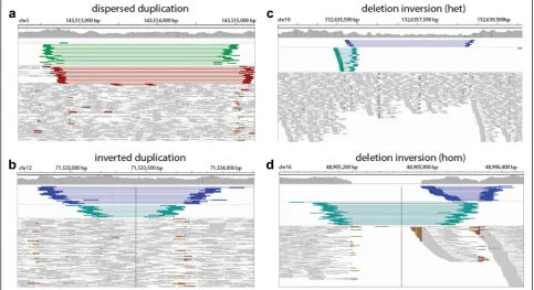 Table 1 Predicted SV types in CHM1 and NA12878 by SVelter