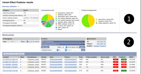 Fig. 1 A typical VEP Web results page. Section (1) gives summary pie charts and statistics