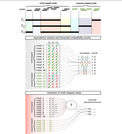 Fig. 1 Equivalence class and transcript-compatibility counts. This figure gives an example of how reads are collapsed into equivalence classes