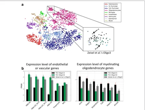 Fig. 7 Analysis on transcript-compatibility counts refines the classification of mouse brain cells