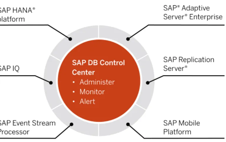 Figure 2: SAP DB Control CenterFigure 1: SAP DB Control Center Lets You Steer and 