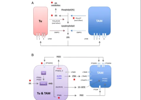 Fig. 6 Common lipid signaling in the ovarian cancer microenvironment.gene names indicate higher expression tumor cells (to their expression levels (as in Fig